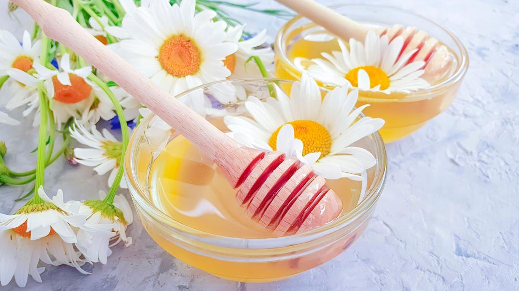Heřmánek, med, léčivé bylinky, heřmánkový čaj. Ilustrační foto