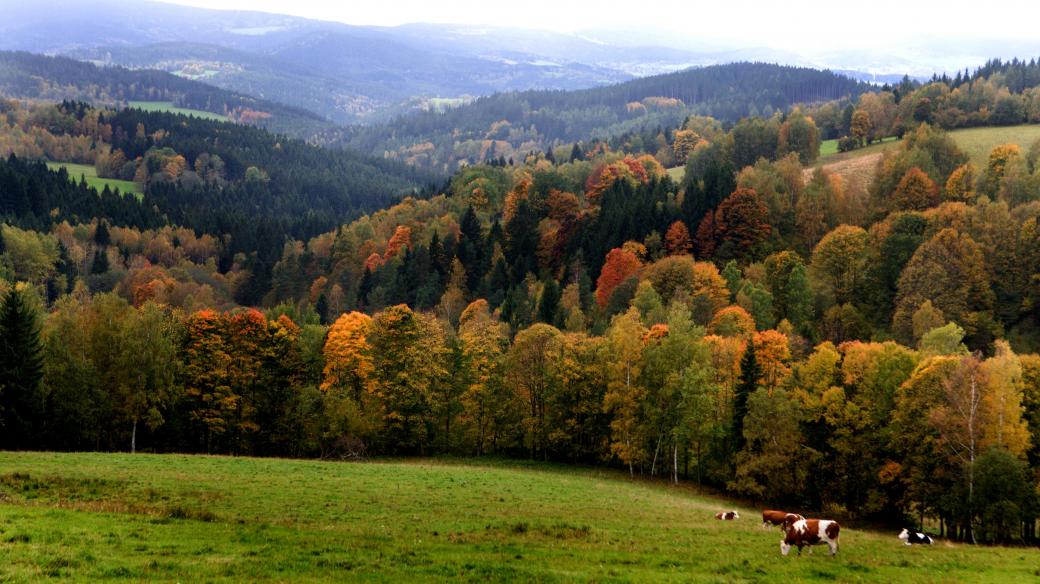Šumava, podzim (ilustrační foto)