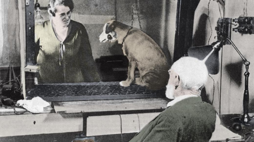 I. P. Pavlov během jednoho ze svých pokusů se psy