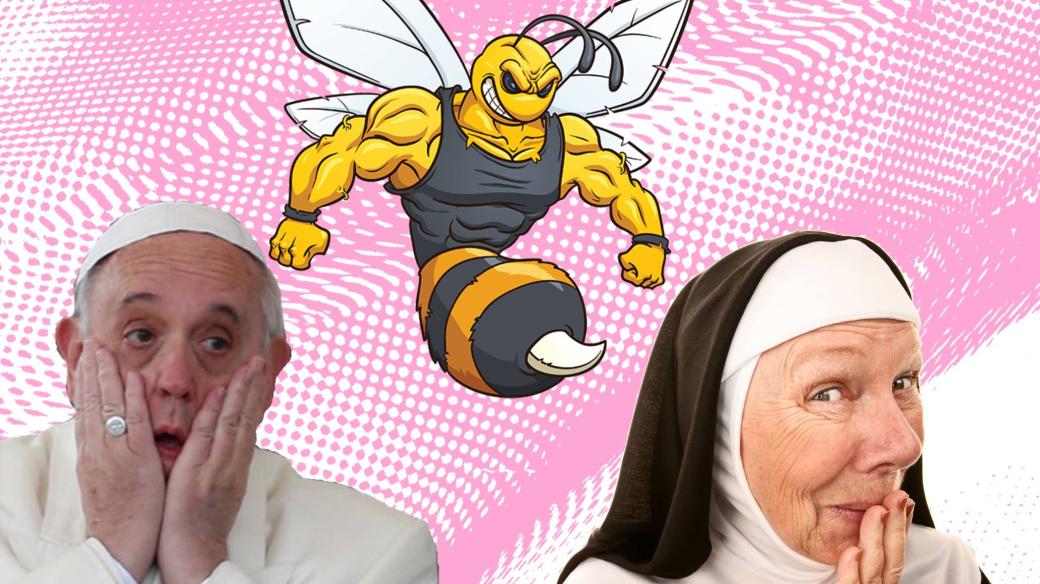Mikrovlnky - papež a včely