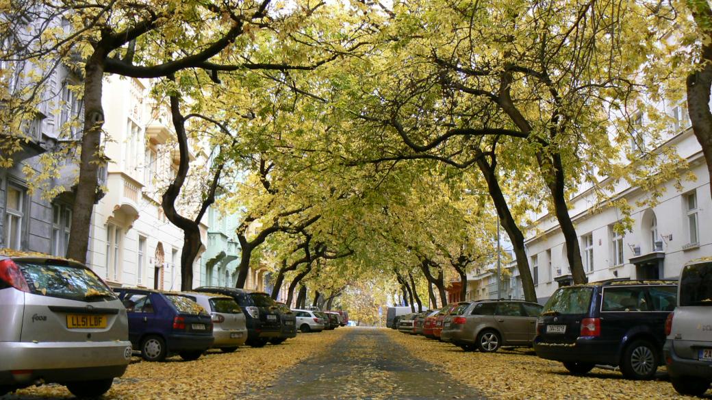 Lužická ulice na podzim