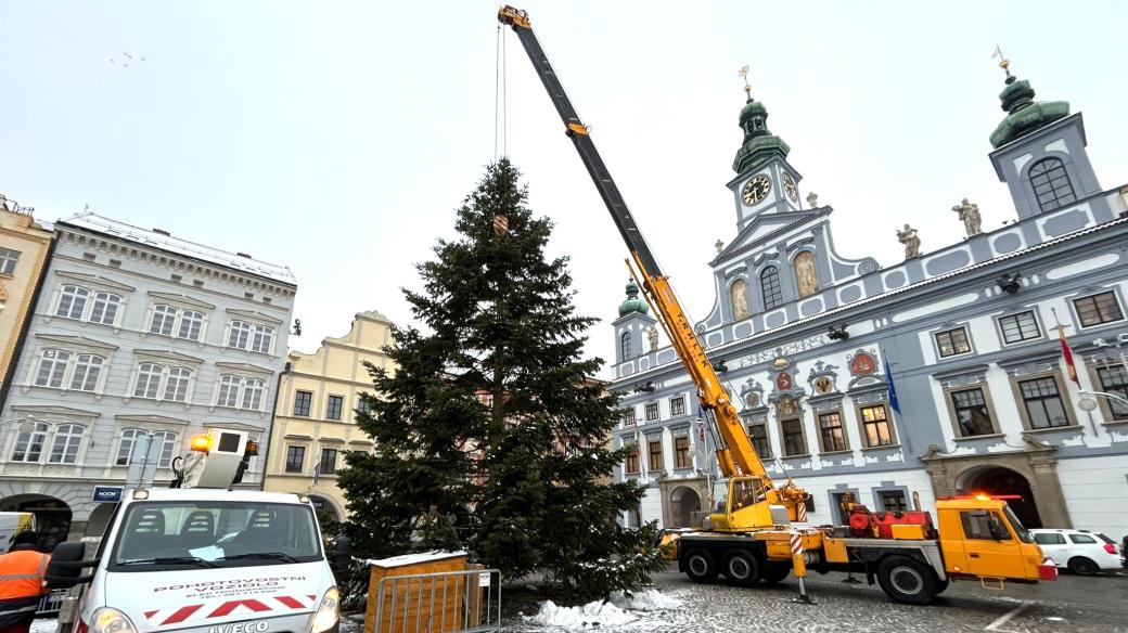 Odvoz vánočního stromu z náměstí v Českých Budějovicích