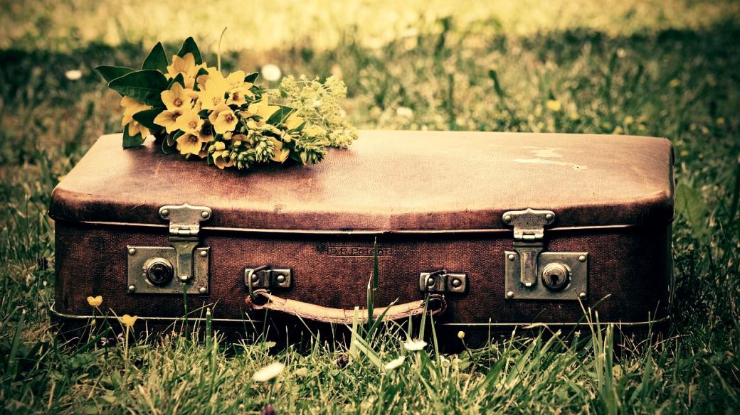 kufr, louka, květina, cestování, loučení (ilustrační foto)