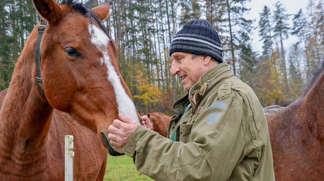 Koně mají větší potíže s chlazením, než s topením, říká Václav Vydra