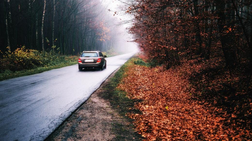 Auto, silnice, podzim, listí, mokrá vozovka