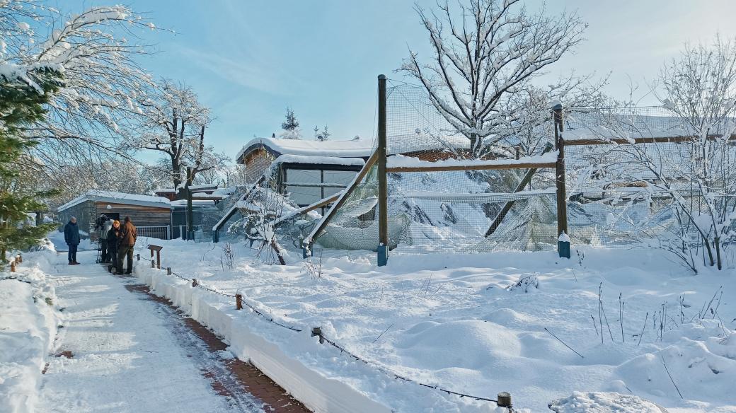 Sníh poškodil voliéry v Zoo Hluboká