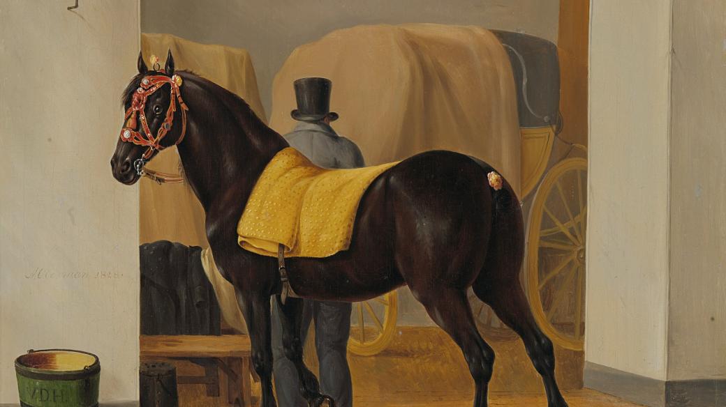 Kůň s kočárem