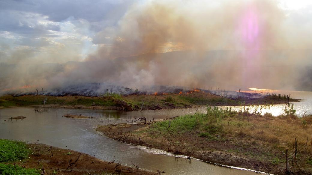 Vypalování pralesů v Amazonii