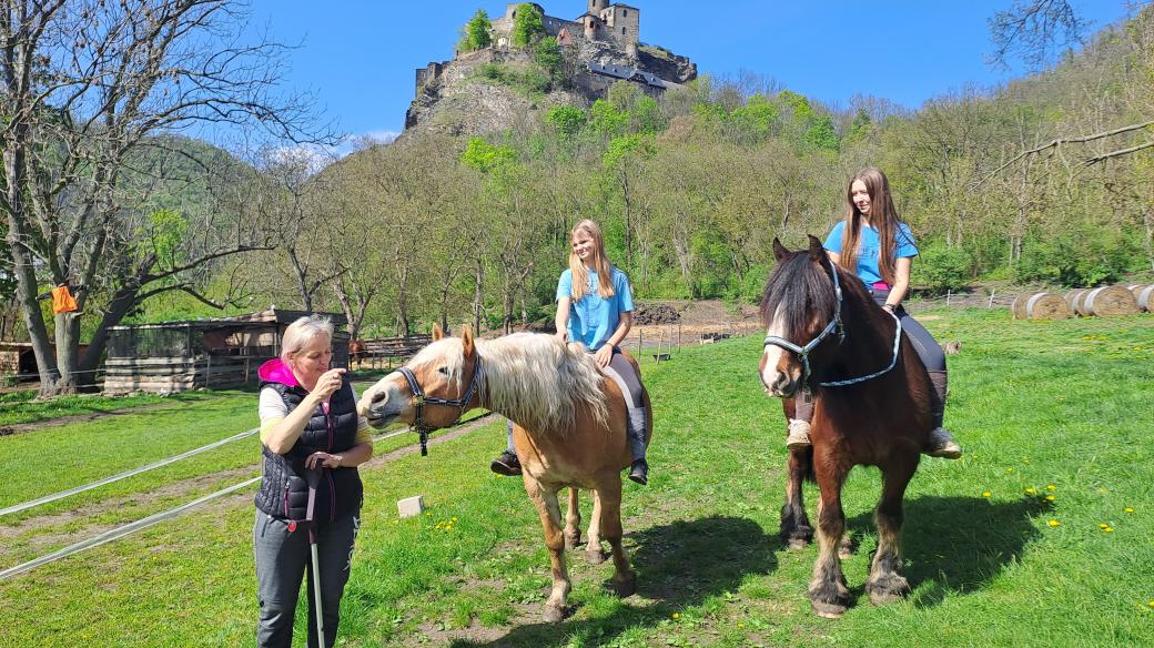 Koně pod hradem Střekov