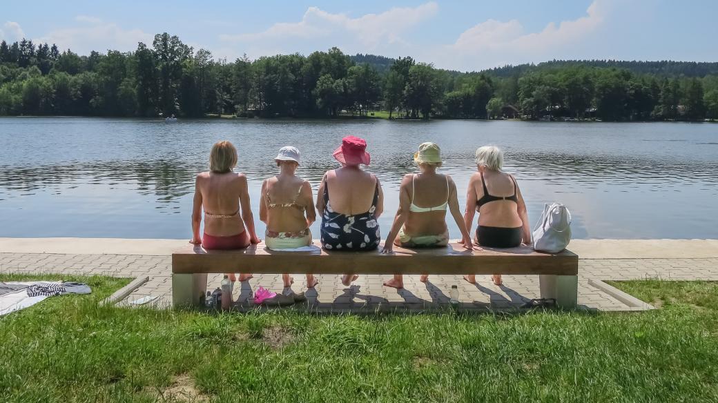 Léto u Dlouhého rybníku nedaleko Lanškrouna
