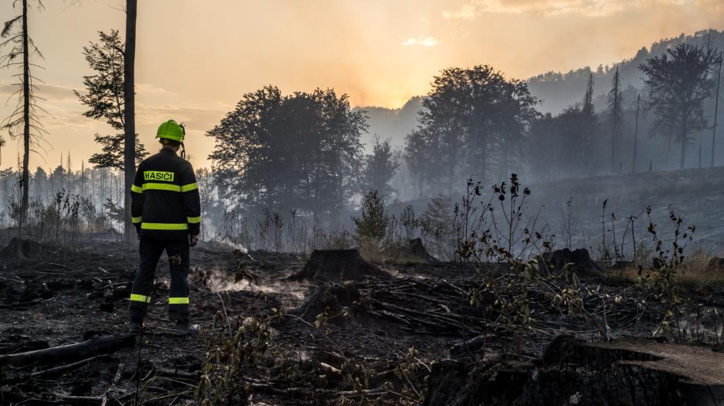 Požár lesa v Národním parku České Švýcarsko, Mezní Louka nedaleko Hřenska