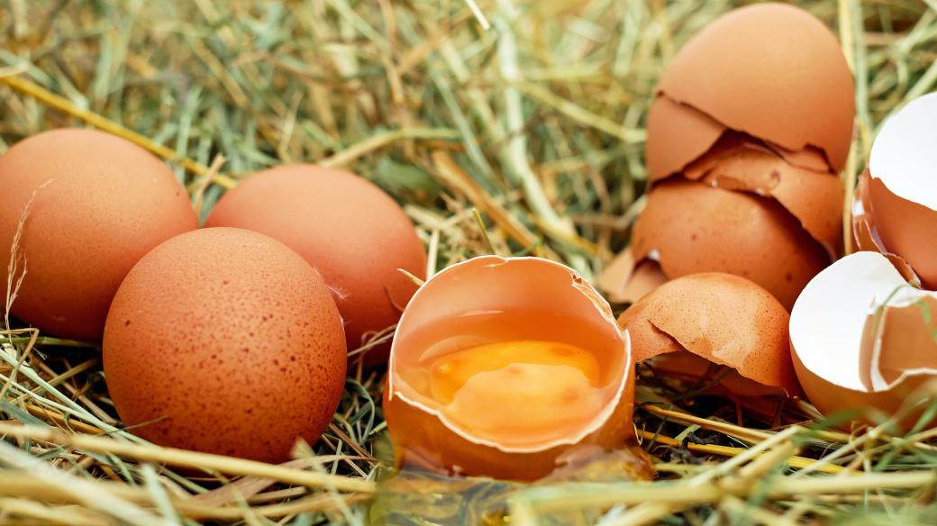 Skořápky z vajíček jsou zdrojem vápníku 