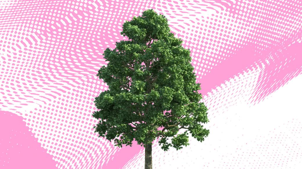 Mikrovlnky - strom
