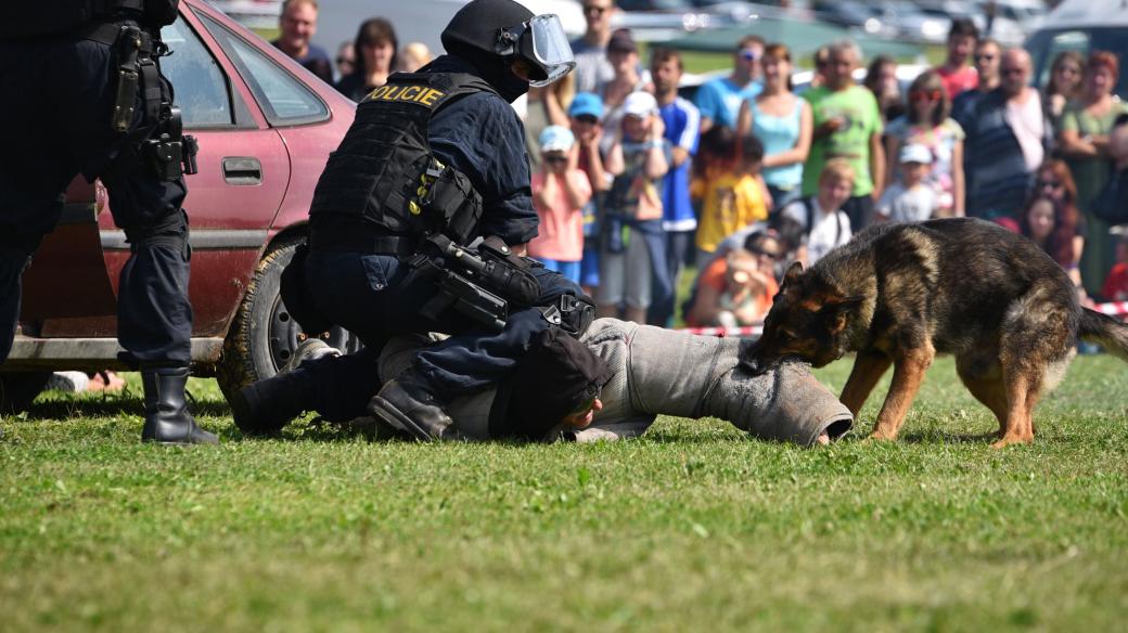 Policejní pes na ukázce výcviku