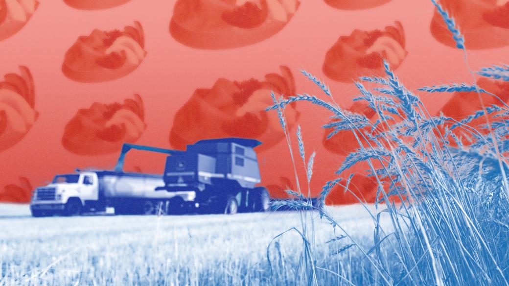 Před pár lety zemědělci lobovali proti zákazu pesticidu, který jim teď vadí v ukrajinském obilí