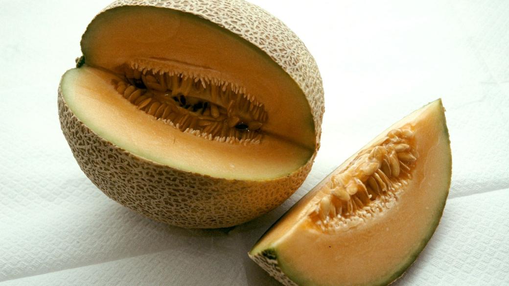 Meloun cukrový Cantaloupe