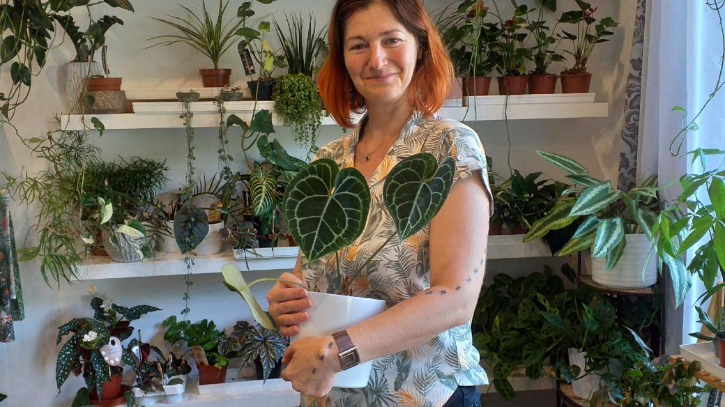 Blanka Plívová s exotickou pokojovkou zvanou Anthurium Clarinervium