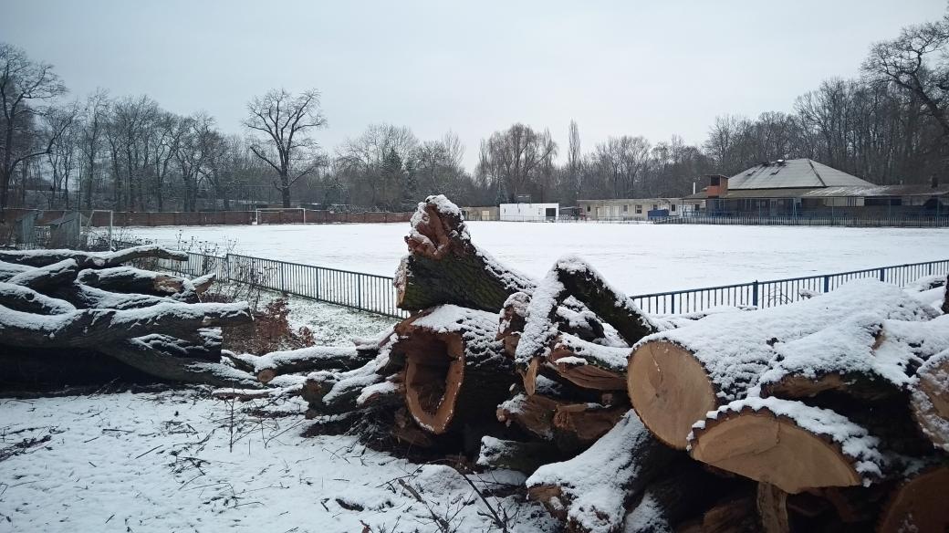 Postoloprty přesunou fotbalový areál, práce začaly kácením stromů