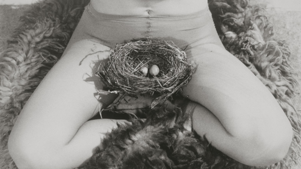 Birgit Jürgenssen: Nest, 1979