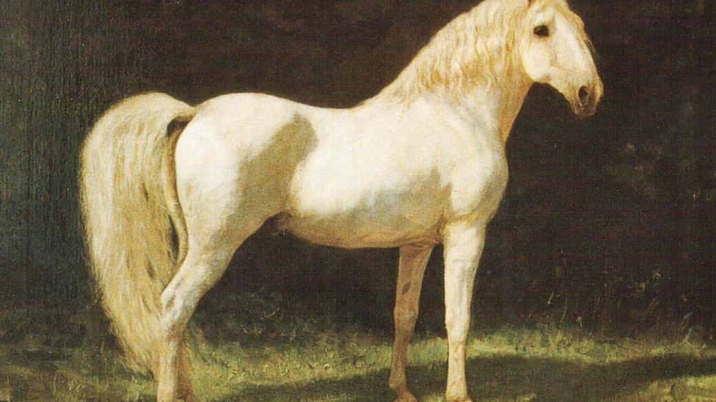 Victor v. Eckhardt: Starokladrubský kůň Generale Alba XIII.
