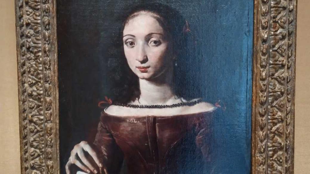 Plautilla Bricci, předpokládaný portrét z výstavy v Palazzo Corsini v Římě