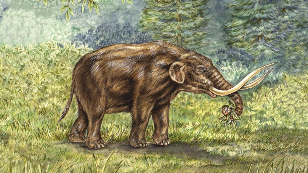 Mastodont