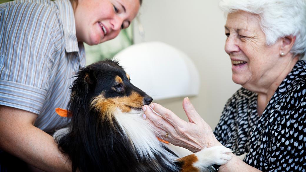 Canisterapie pomáhá v domovech pro seniory (ilustrační foto)