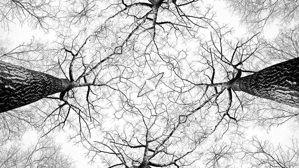 Stromy, větve, obloha, kaleidoskop (ilustrační foto)
