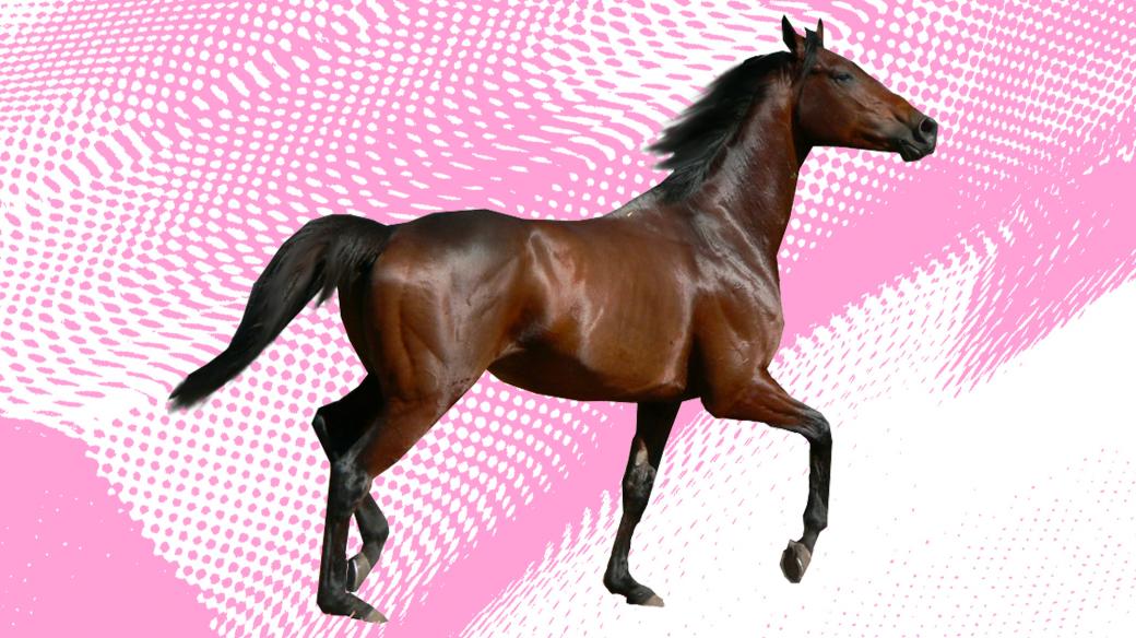 Mikrovlnky - kůň