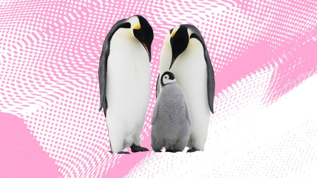 Mikrovlnky - tučňáci