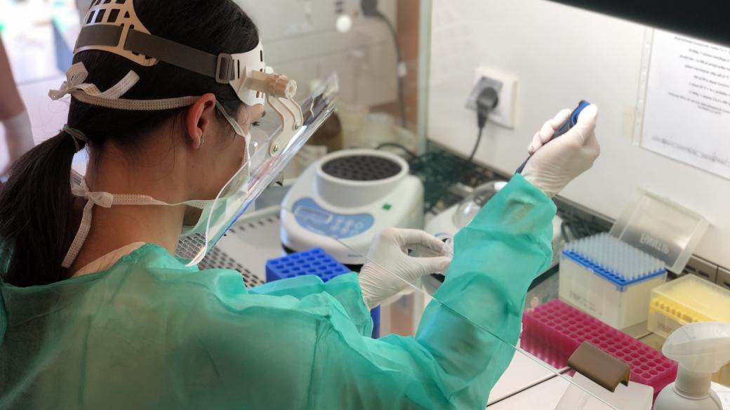 Laboratoř ve strakonické nemocnici, kde se diagnostikují pacienti s koronavirovou infekcí