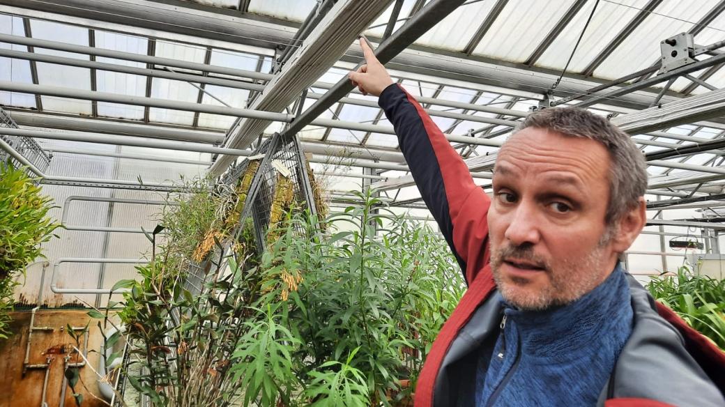 Ředitel Botanické zahrady Liberec Václav Lenk ukazuje nedostatky v opláštění jednoho z pěstebních skleníků zahrady