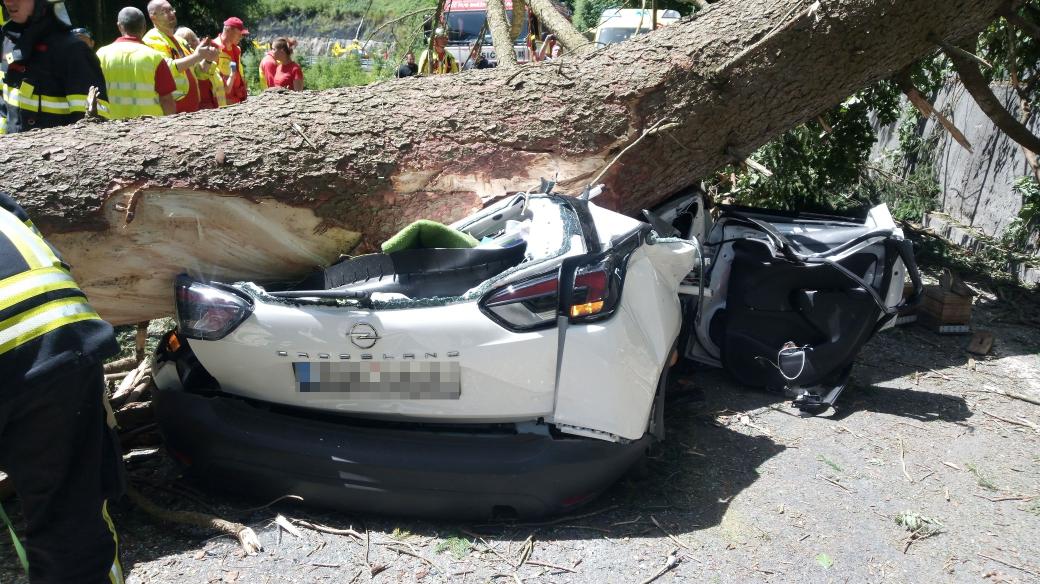 Tragický pád stromu v Krkonoších na auto policie řeší jako usmrcení z nedbalosti