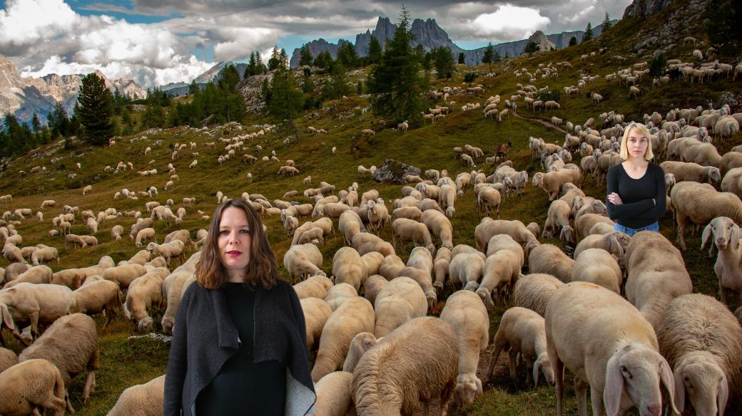 Zuzana a Ivana počítají ovečky