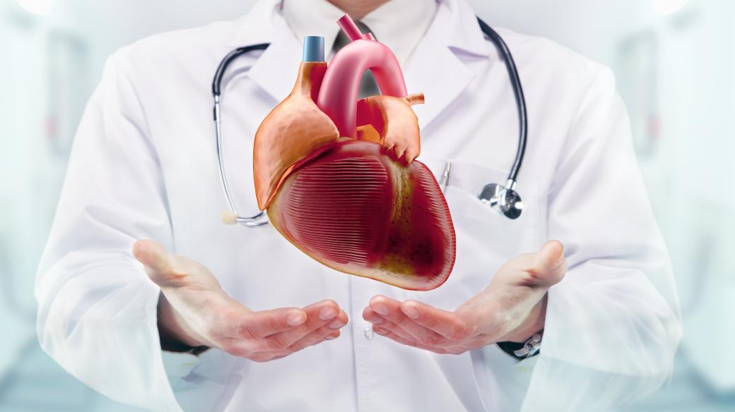 Kardiolog a srdce (ilustr. obr.)