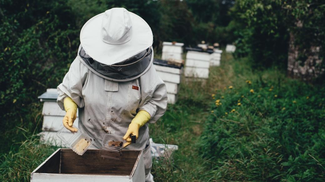 Jak jsou včelaři spokojeni s letošní medovou sezónou? 