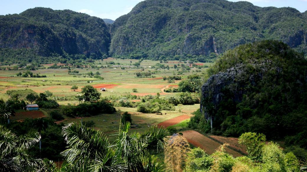 Viñales, krasové údolí na západě Kuby