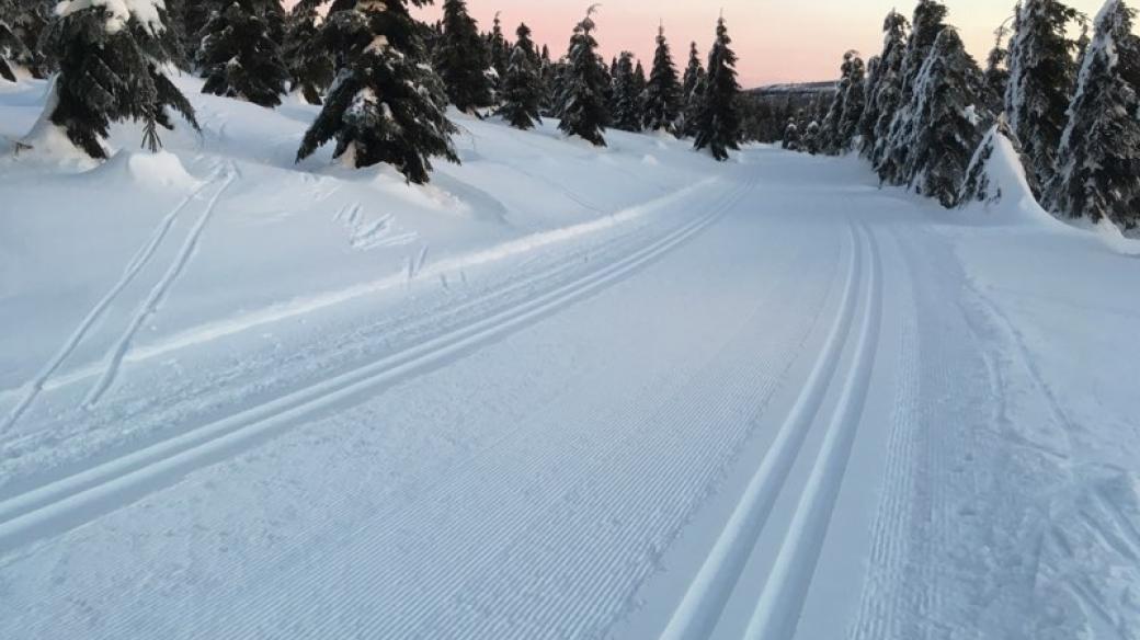 Upravená trať Jizerské padesátky. Pro nedostatek sněhu jsou letošní podmínky závodu nejisté