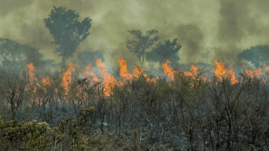 Požár amazonského deštného pralesa