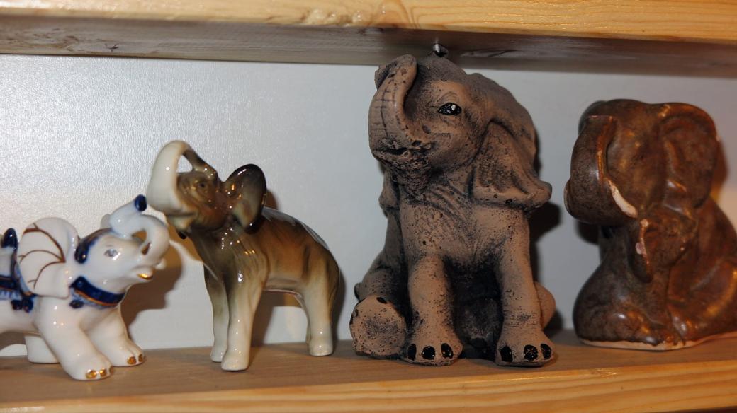 Sbírka slonů Evy Opavové