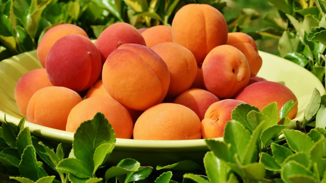 Oranžové ovoce, které Češi milují. To jsou meruňky (ilustrační foto)