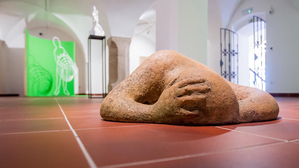Alšova jihočeská galerie v Českých Budějovicích v expozici nazvané Hliněná žena představuje celoživotní dílo sochařky Jindry Vikové
