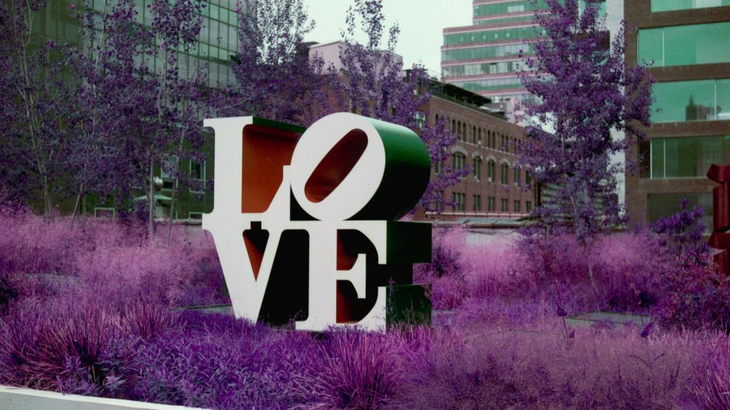 Love (Rolleicord V  2019 Lomochrome Purple)