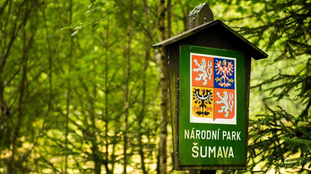 Národní park Šumava (ilustrační foto)