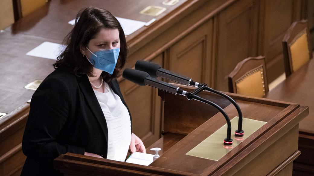 Jana Maláčová v Poslanecké sněmovně při projednávání novely o zaměstnanosti