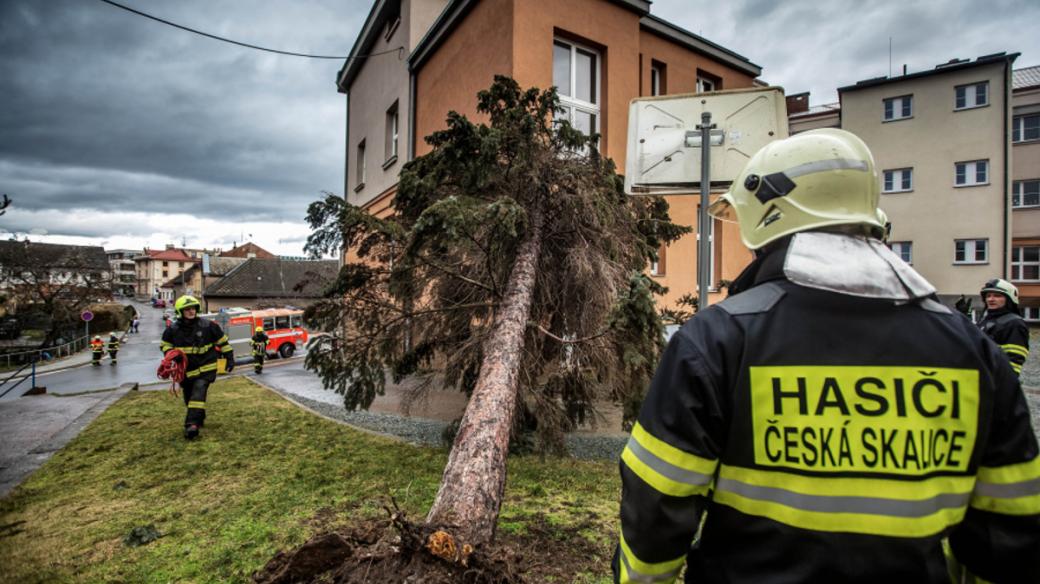 Hasiči v Královéhradeckém kraji odstraňovali během pondělí následky bouře Sabine