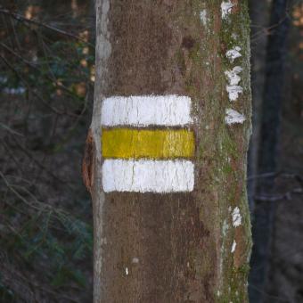 Západočeský vandrovník