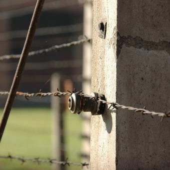 Ostnatý drát v koncentračním táboře v Osvětimi