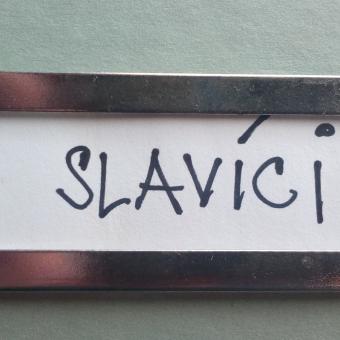 Slavíci v krabici