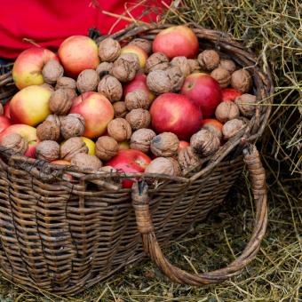 Jablka a ořechy